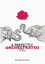 A Perfectly Orchestrated Plan cover